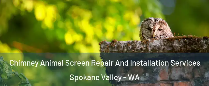  Chimney Animal Screen Repair And Installation Services Spokane Valley - WA