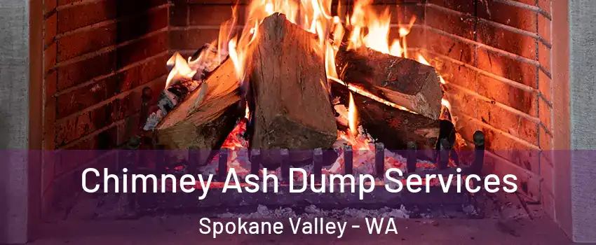  Chimney Ash Dump Services Spokane Valley - WA