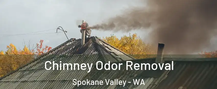  Chimney Odor Removal Spokane Valley - WA
