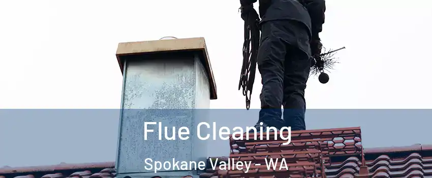  Flue Cleaning Spokane Valley - WA