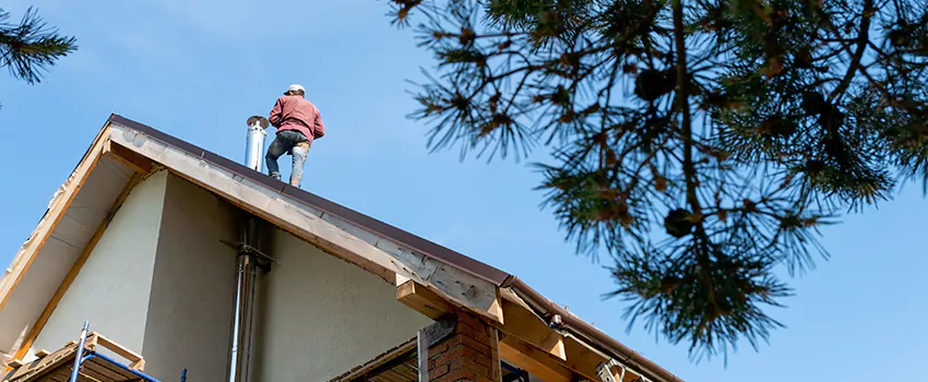 Birds Removal Contractors from Chimney in Spokane Valley, WA