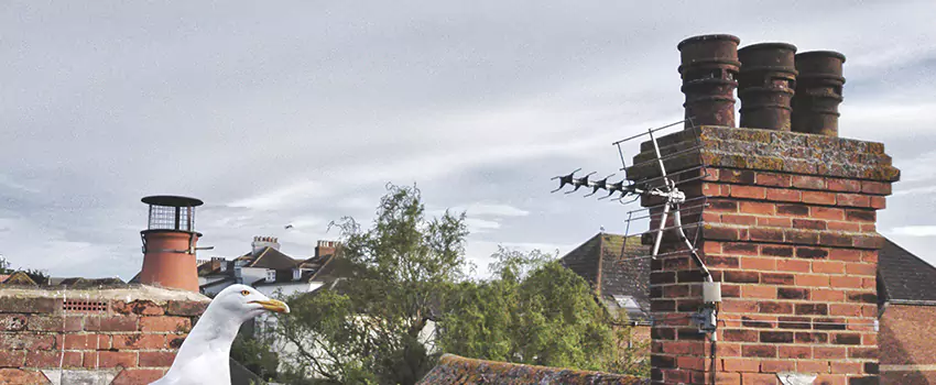Chimney Cleaning And Restoration in Spokane Valley, Washington