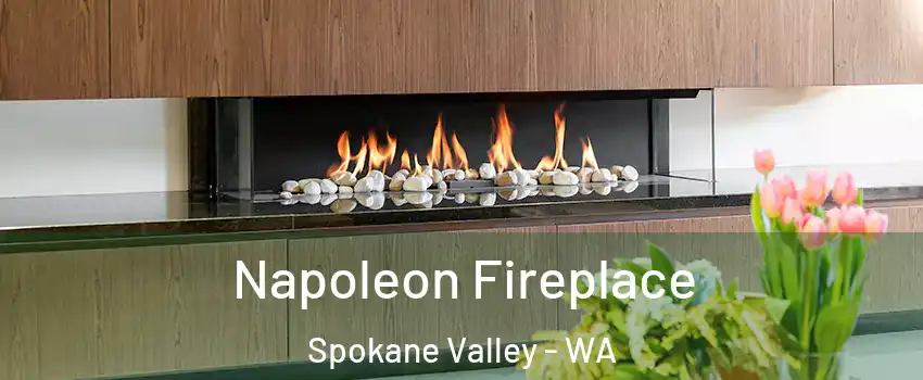  Napoleon Fireplace Spokane Valley - WA